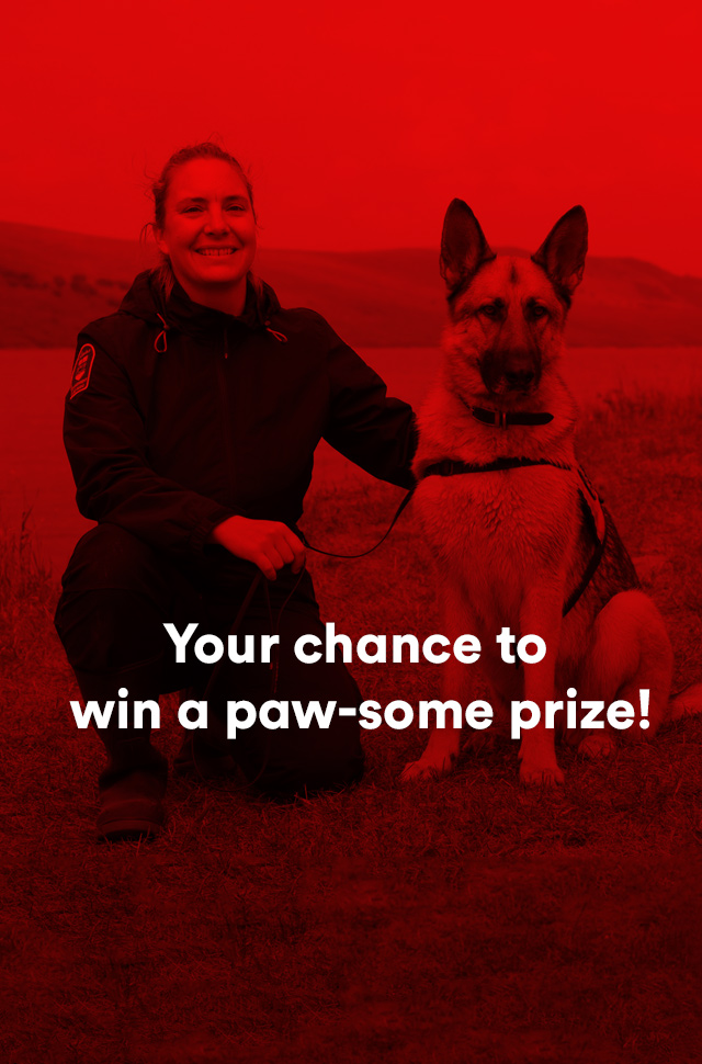 Dogs With Extraordinary Jobs Giveaway Virgin Media